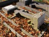 image of grave number 171873